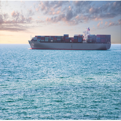 Door To Door To Antwerp International LCL FCL Sea Freight Forwarder